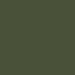 BS381-223 Middle Bronze Green Aerosol Paint